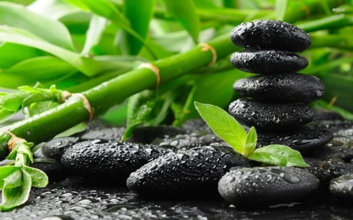 shungite πολύτιμος λίθος μπαμπού υγιές αποτέλεσμα