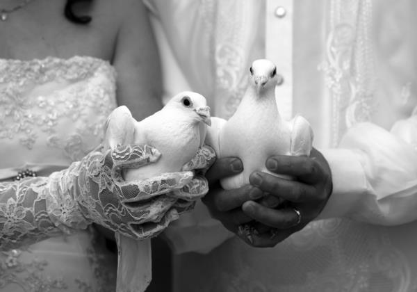 ασπρόμαυρη φωτογραφία λευκά περιστέρια γάμος
