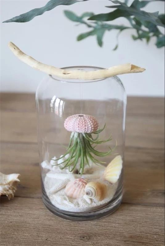 terrarium αχινός χτίστε μόνοι σας ιδέες διακόσμησης