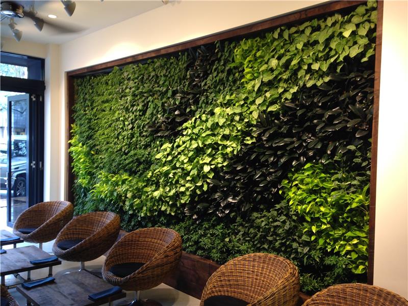 πολύ καλή ιδέα με σχεδιασμό φυτών πράσινου τοίχου