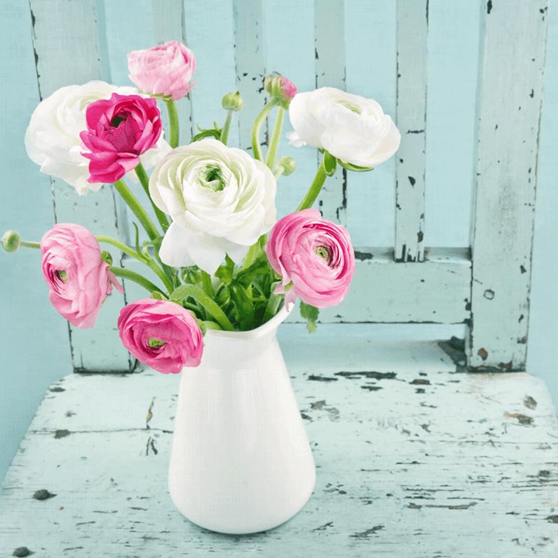 shabby chic vintage vase άνθη ranunculus ροζ λευκό