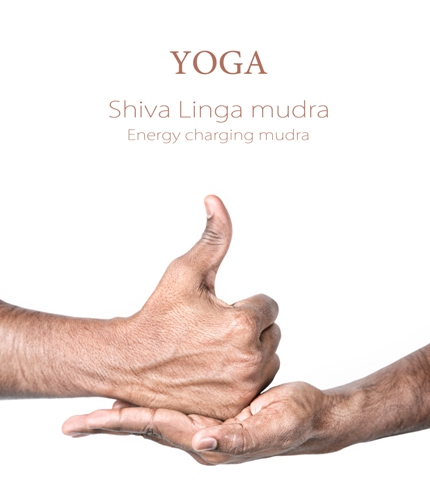 Šiva Linga Mudra