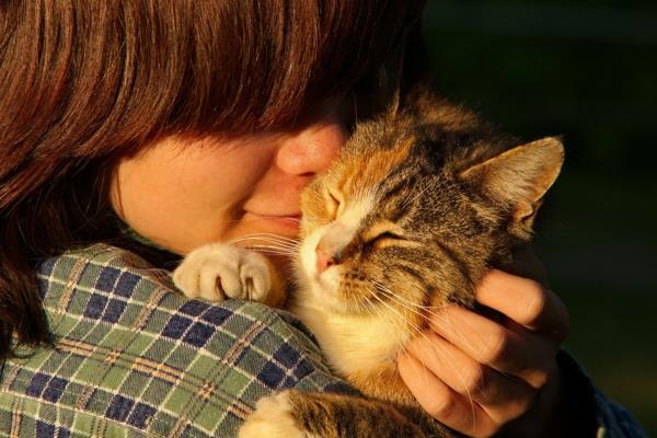 τεχνικές χαλάρωσης κατοικίδια ζώα γάτες γουργουρίζουν