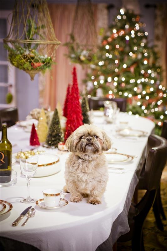 ιδέες ντεκό πάρτι παραμονής Πρωτοχρονιάς silvesteer διακόσμηση τραπεζιού διακόσμηση Πρωτοχρονιάς σκύλος