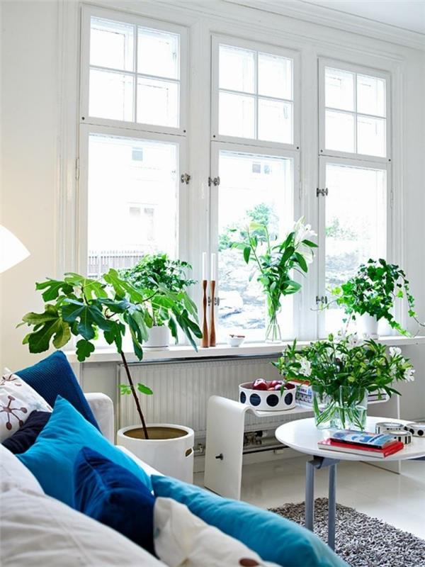 Σκανδιναβική επίπλωση σαλονιού μπλε ρίξτε μαξιλάρια φυτά γκρι χαλί
