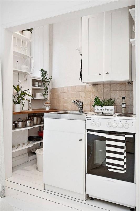 Η σκανδιναβική κουζίνα δημιούργησε λευκά ντουλάπια σε μέγεθος φυτού εσωτερικού χώρου