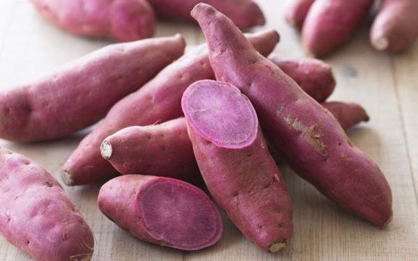 μοβ ρίζες πατάτας
