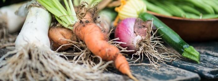 αργή κίνηση τροφίμων ζουν υγιή υγιή obs βιώσιμα ψώνια λαχανικά