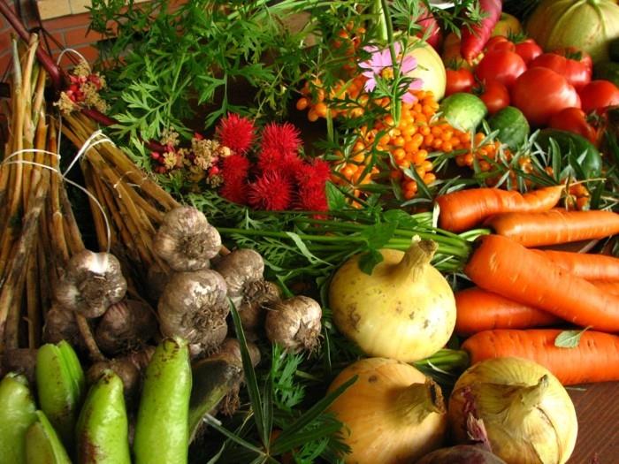 bwegung ζουν υγιεινά υγιή obs βιώσιμη αγορά τοπικών τροφίμων