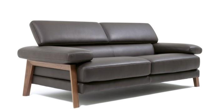 καναπές σχεδιασμός κλασικό σκούρο χρώμα - εσωτερική διακόσμηση