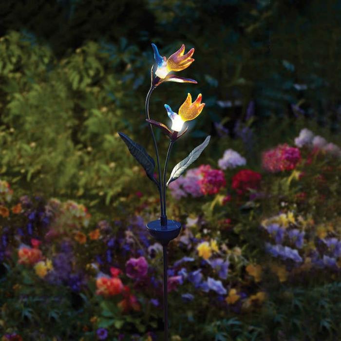 ηλιακά φώτα κήπου λάμπουν λεπτά λουλούδια