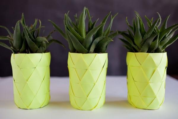 ιδέες καλοκαιρινής διακόσμησης ανανά για φυτά εσωτερικού χώρου