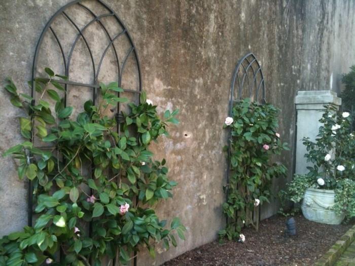 Τα πέργκολα στον κήπο αναρριχώμενα τριαντάφυλλα στολίζουν τους τοίχους