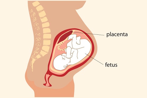 Hamilelikte Lekelenme 11