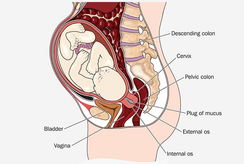 Hamilelikte Lekelenme 12