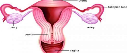 Hamilelikte Lekelenme 3