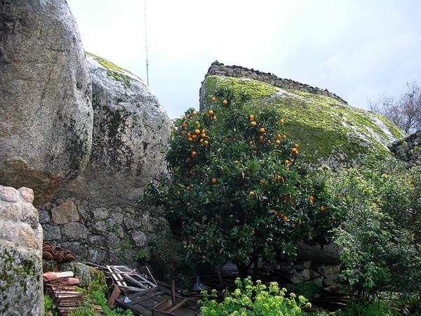 Monsanto αρχιτεκτονική Πορτογαλία μεγάλα βράχια φυτά