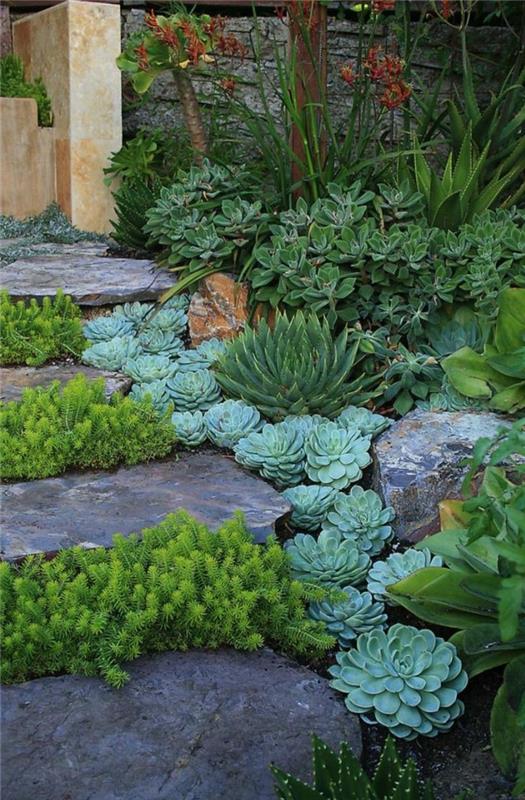 Δημιουργήστε ένα ροκ κήπο όμορφες ιδέες κήπου με παχύφυτα