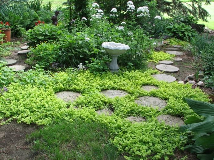Δημιουργήστε έναν βραχόκηπο με σκαλοπάτια από πέτρα και πολύ πράσινο
