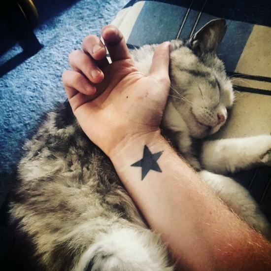 αστέρι τατουάζ καρπό άντρα και γάτα