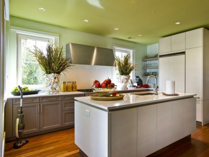 ιδέες βαφής κουζίνα σχεδιασμός πράσινης οροφής
