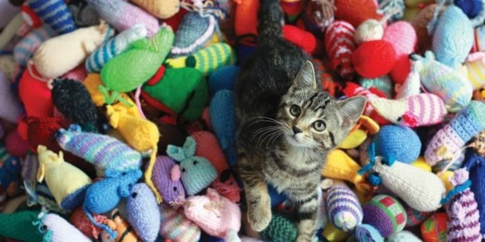 πλέξιμο για αρχάριους δημιουργικά δώρα Χριστουγέννων φτιάξτε μόνοι σας παιχνίδια γάτας