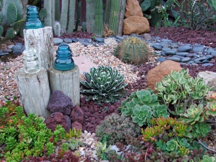 δημιουργήστε τον δικό σας υποτροπικό κήπο παχύφυτα κάκτους πέτρες φυσικό ξύλο