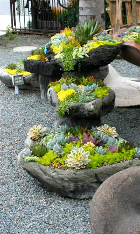 χυμώδης κήπος δημιουργούν ιδέες κήπου με χαλίκια από φυσικές πέτρες