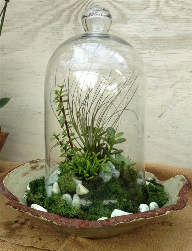 succulents in the glass δημιουργικές ιδέες διακόσμησης