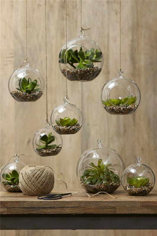 χυμώδη φυτά εσωτερικού χώρου γυαλί terrarium deco