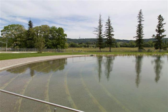 πισίνα χωρίς πισίνα χλωρίου Ελβετία φυσική πισίνα κήπος πισίνα