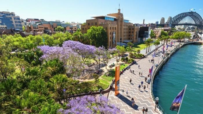 sydney-εξωτικό-πολύχρωμο