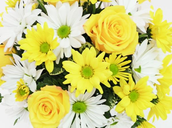 συμβολισμός λουλούδια κίτρινα τριαντάφυλλα λευκές μαργαρίτες