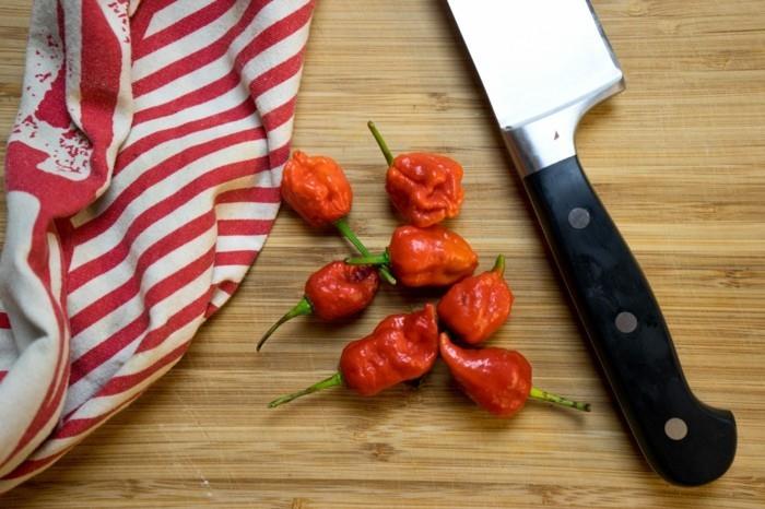 Φτιάξτε τη δική σας σάλτσα ταμπάσκο τσίλι σπιτική