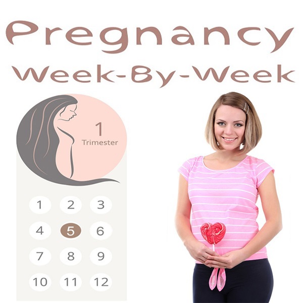 5 -oji nėštumo savaitė