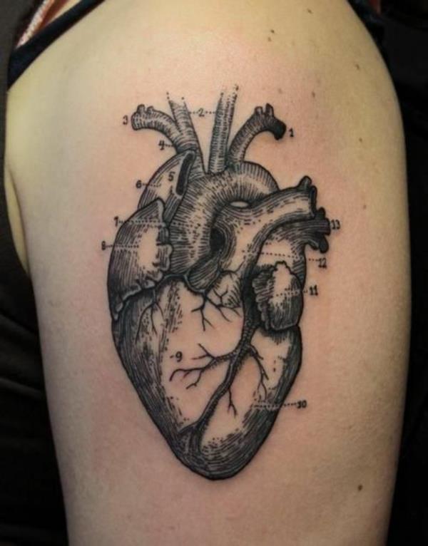 τατουάζ μοτίβα καρδιά ανθρώπινη ανατομία τατουάζ