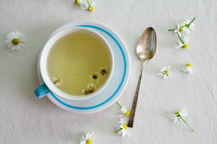 τσάι υγιεινά ποτά Kamomillentee