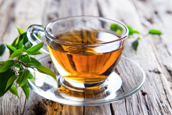πίνετε τσάι μακράς διάρκειας βότανα και φαρμακευτικά φυτά