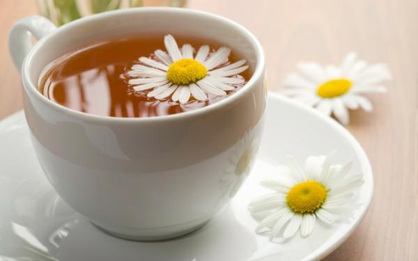 πιείτε τσάι φλιτζάνι λουλούδια βότανα υγιές τσάι χαμομηλιού