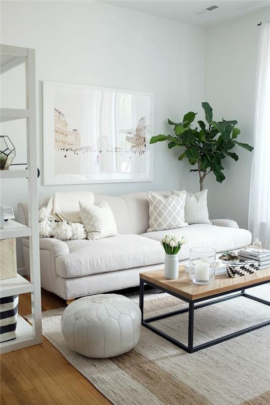 χαλί σαλόνι φωτεινό καναπέ φυτό λευκοί τοίχοι