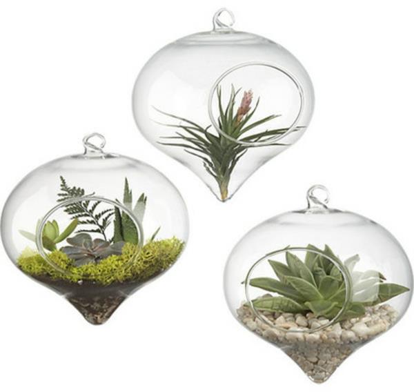 ιδέα terrarium κρεμαστό χρώμα και υφή