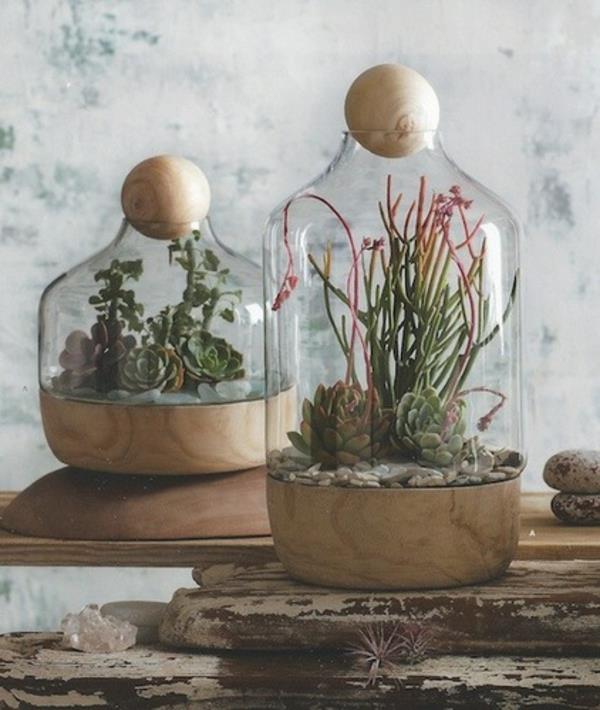 ιδέα terrarium όμορφα ποτήρια με φυτά