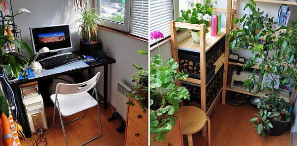 βεράντα μπαλκόνι μικροσκοπική ιδέα εργοστάσιο γραφεία φυτά