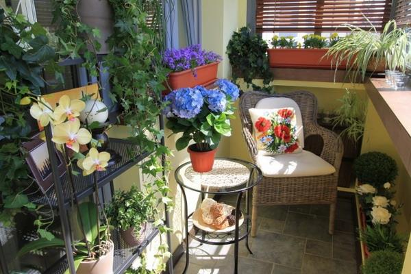 βεράντα μπαλκόνι μικροσκοπική συμπαγής ιδέα γλάστρα λουλούδι ζεστή