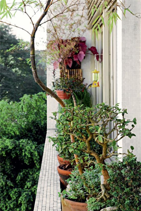 ιδέες σχεδιασμού ταράτσας φυτά σε γλάστρες περβάζι παραθύρου φυτά μπαλκονιού