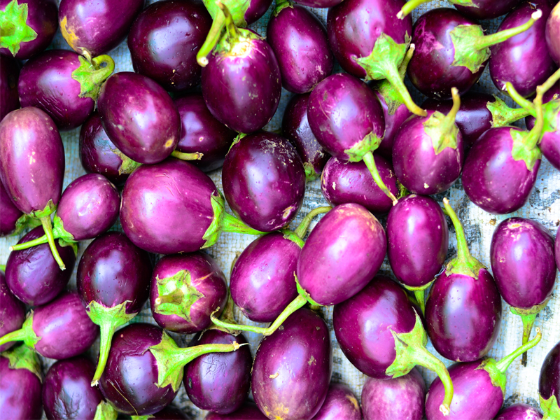 Brinjal nėštumo metu