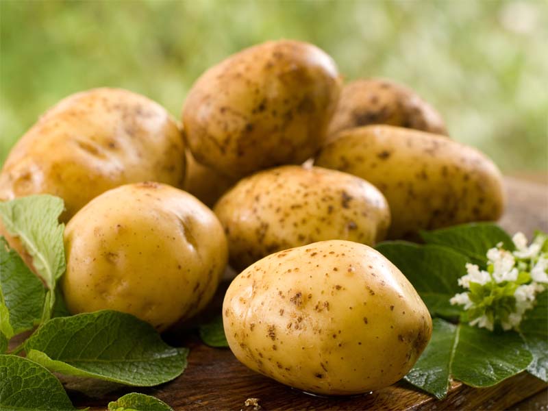 Bulvių stebuklai greitam plaukų augimui