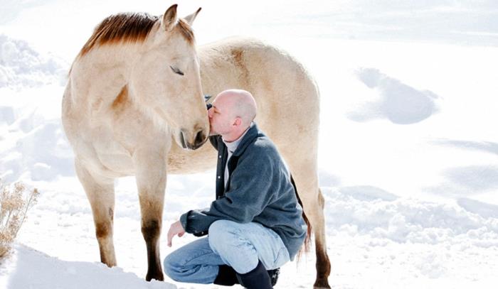 θεραπευτική ιππασία χτίστε εμπιστοσύνη καταλάβετε άλογα κατάθλιψη