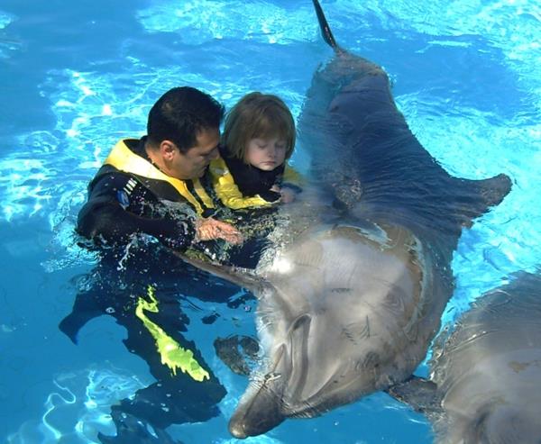 θεραπεία ζώων δελφίνια θεραπεία δελφινιών με βοήθεια ζώων παιδαγωγική