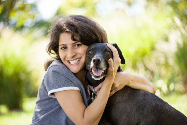 σκυλί θεραπείας ζώων ως φίλος ζώων με τη βοήθεια ζώων θεραπείας